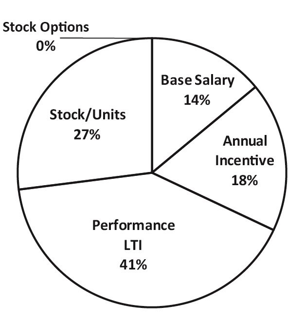 CEO pie chart - Copy.jpg